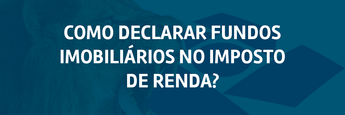 Como Declarar Fundos Imobili Rios No Imposto De Renda Investidor De Fiis